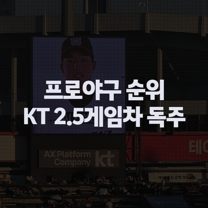 프로야구 순위 2026, KT 단독 1위와 가을야구 마지노선 완전정리