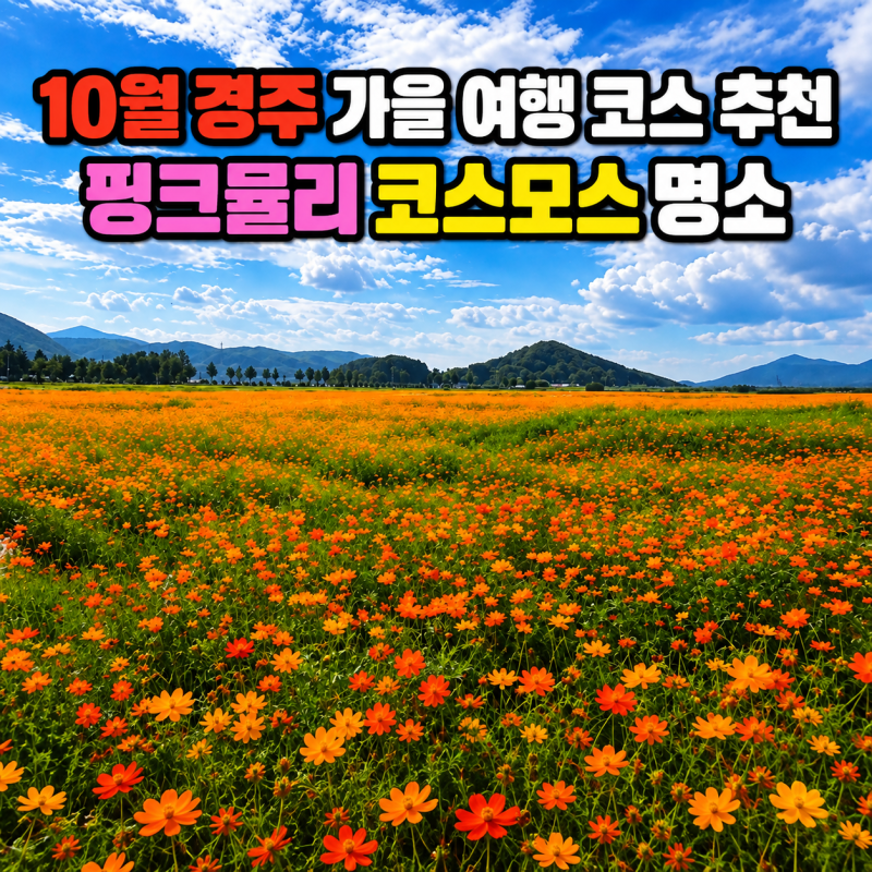 9월 10월 경주 가을 여행 코스 추천 핑크뮬리 코스모스 명소