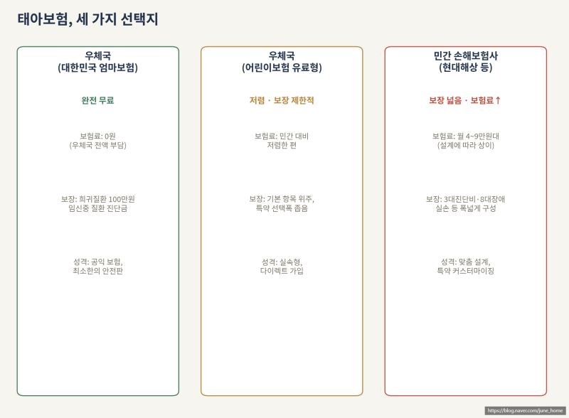 [BABY] 태아보험 총정리 — 가입 시기부터 필수 특약까지