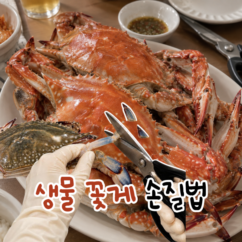 생물 꽃게 손질법 찜과 꽃게탕은 이렇게 손질해요