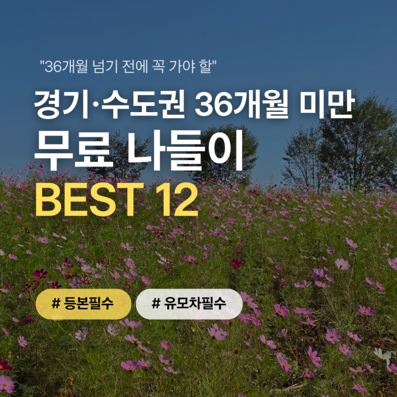 "36개월 지나면 입장료 들어요" 경기·수도권 아이와 가볼만한곳 BEST 12 (수유실/평지 잔디밭/....