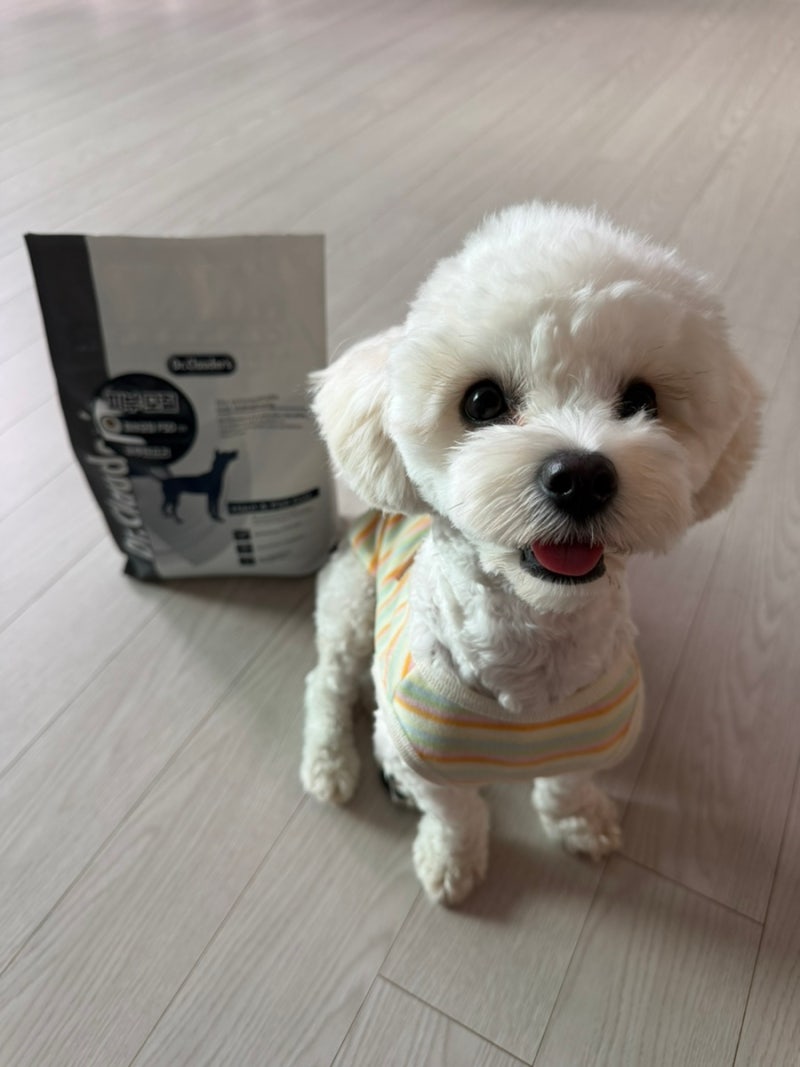 강아지 알레르기 사료 추천 닥터클라우더 피부모질 FSD 기능성 피모 눈물 사료 후기