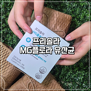 임산부 유산균 추천 프리솔라 MG플로라 유산균 개별 포장 솔직 후기