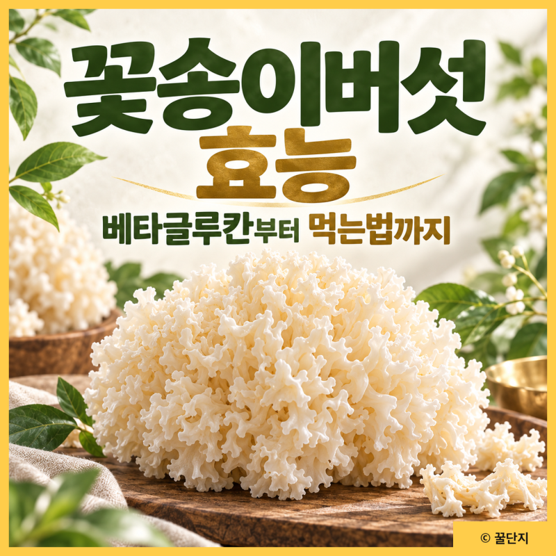 꽃송이버섯 효능, 베타글루칸 뭐길래? 영양성분 칼로리 먹는법 부작용