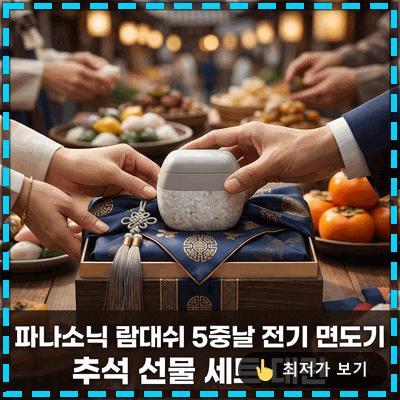 파나소닉 ES-PV6B 람대쉬 5중날 전기 면도기 팜인 쉐이버 추석 선물 세트 대란