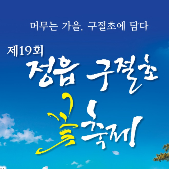 2026 정읍 구절초 꽃축제 일정 및 입장료 총정리