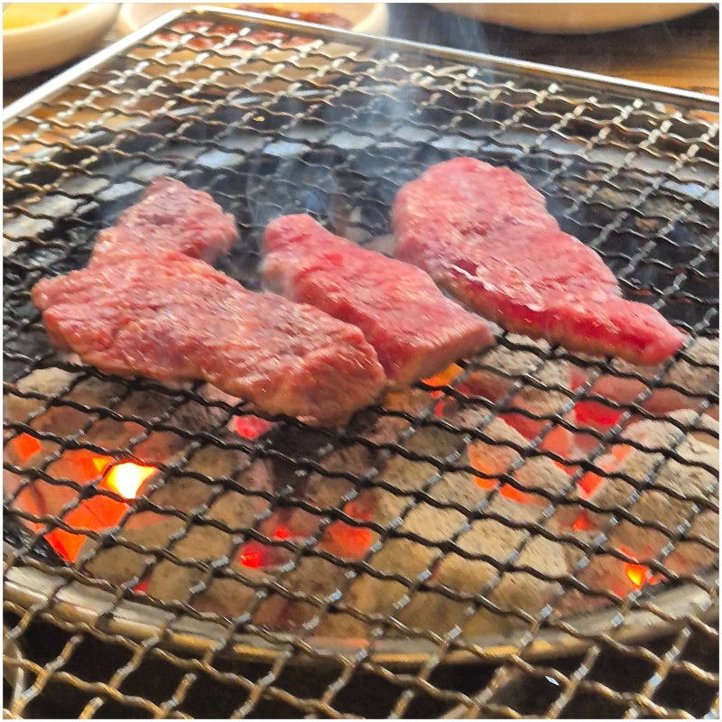 부산 기장 애견동반 식당 옛기와, 남친이랑 강아지랑 한우 먹고 온 기장 단체회식 장소 후기