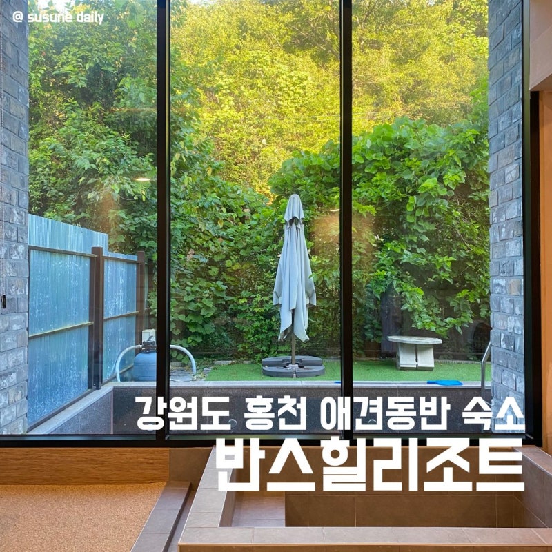 강원도 홍천 애견동반 숙소 반스힐리조트 | 독채 개별수영장 자쿠지 바베큐장까지