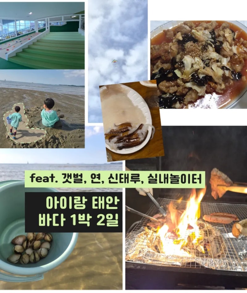 Taean 2-Day Trip with a 3-Year-Old: Tidal Flat Experience, Kite Flying, Free Indoor Playground Course (+Shintaeru)