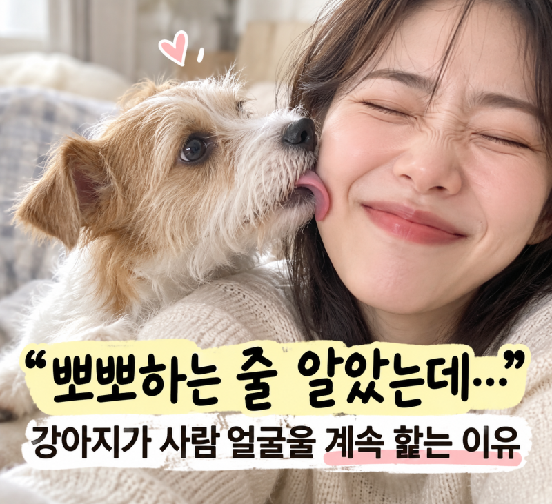 “뽀뽀하는 줄 알았는데…” 강아지가 사람 얼굴을 계속 핥는 이유