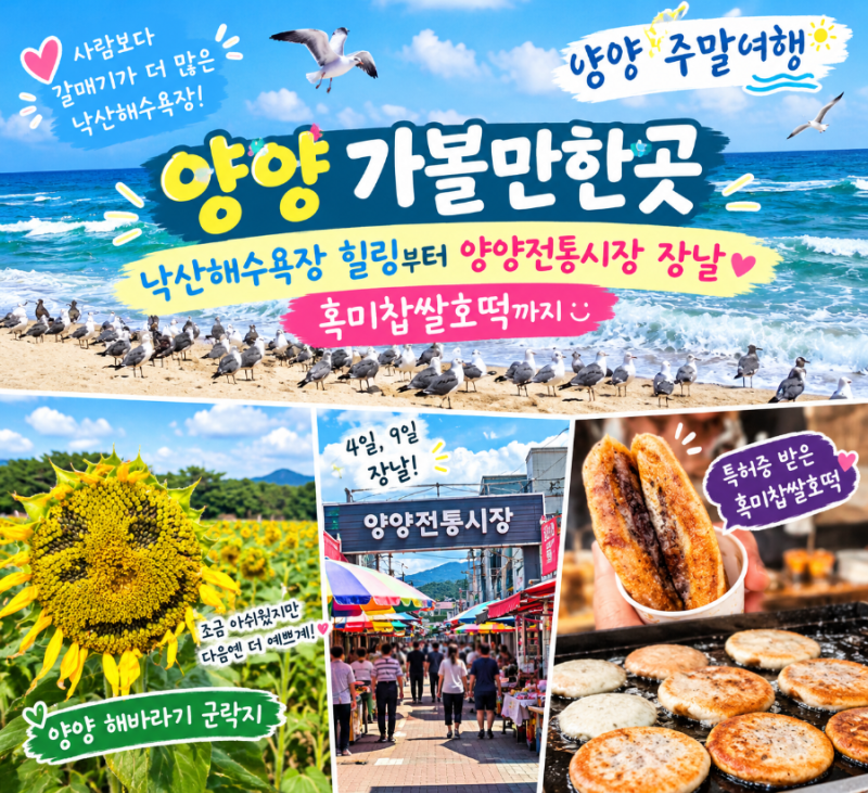 양양 가볼만한곳 낙산해수욕장 힐링부터 양양전통시장 장날 흑미찹쌀호떡까지