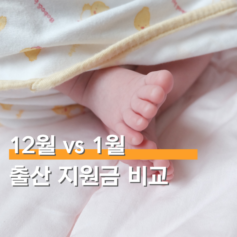 12월 출산 vs 1월 출산 지원금 차이 연말정산 비교 정리