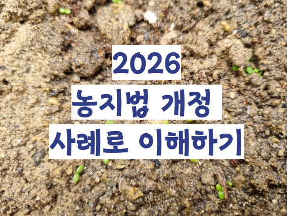 농지법 개정 | 이행강제금 25%와 농지은행 매수청구 쉽게 사례로 이해하기