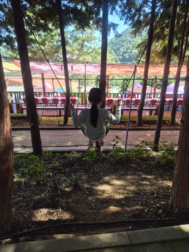 論山(ノンサン)の観光スポット「サンシャインランド」から「チョウン・ドームペンション」まで、秋の家族旅行