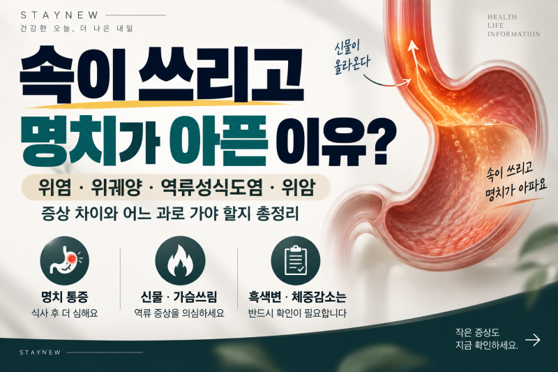 속이 쓰리고 명치가 아픈 이유 / 위염·위궤양·역류성식도염 차이와 병원 가야 할 신호