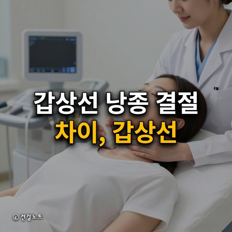 갑상선 낭종 결절 차이, 갑상선 초음파 검사 핵심 가이드