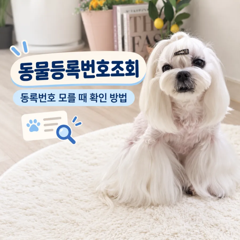동물등록번호조회 방법, 등록번호 모를 때 간단하게 확인하기