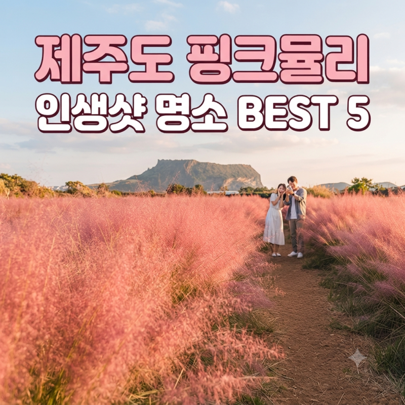 제주도 핑크뮬리 명소 베스트 5 | 가을 인생사진 스팟 추천