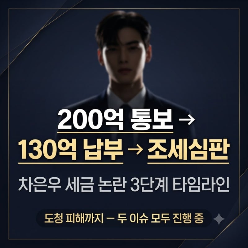 차은우 세금 논란 타임라인 200억 통보 → 130억 납부 → 조세심판 3단계