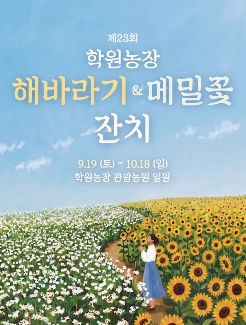 가을 여행 명소 전북 고창 가볼만한곳 보리나라 학원농장 해바라기 메밀꽃 잔치