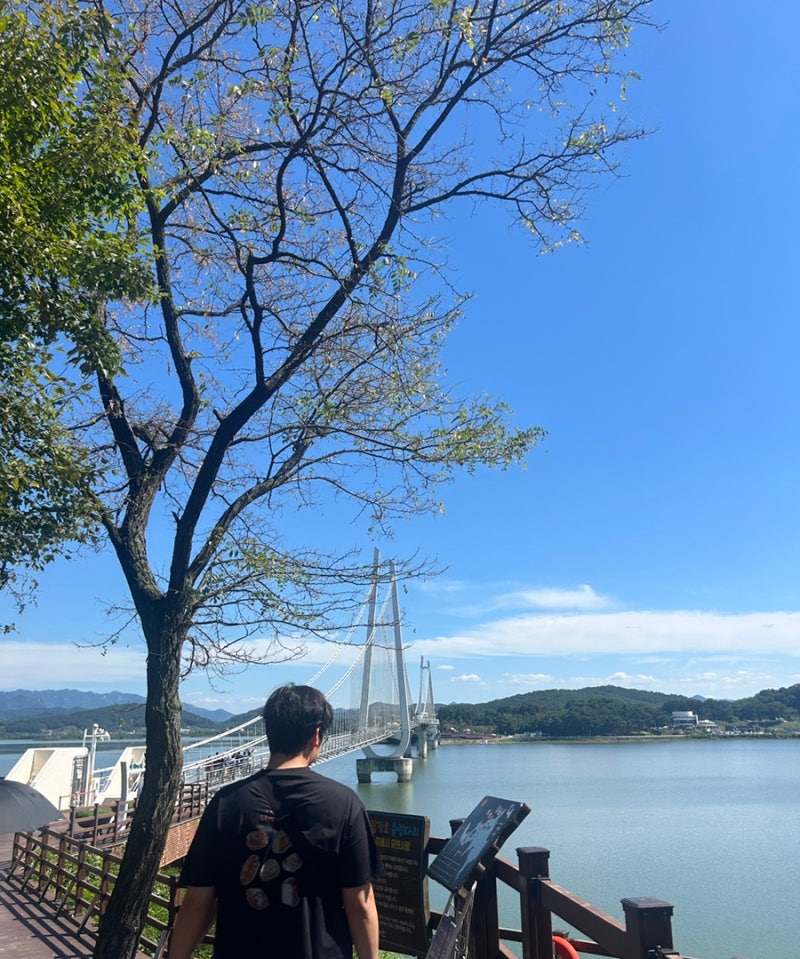 Chungnam Travel: How to Use the Chungnam Tour Pass, Tips, and Recommended Courses! A Real Day Trip Near Daejeon from Geumsan to Nonsan