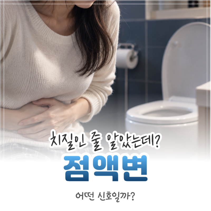 치질인 줄 알았는데 대장암? 초기증상과 점액변 신호 정리