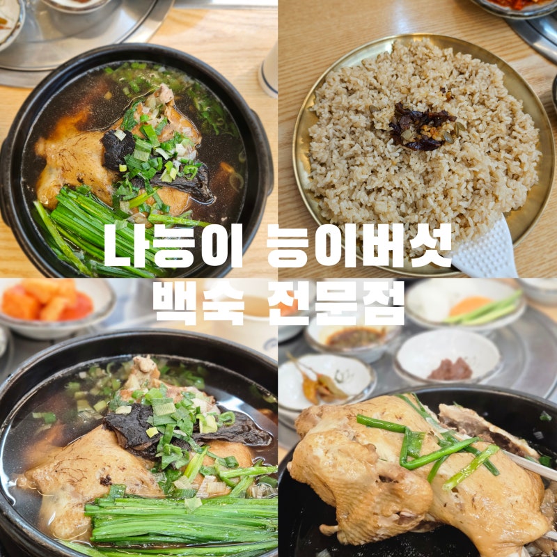 파주 삼계탕 맛집 나능이 능이버섯백숙 문산점 몸보신 제대로 하고왔어요
