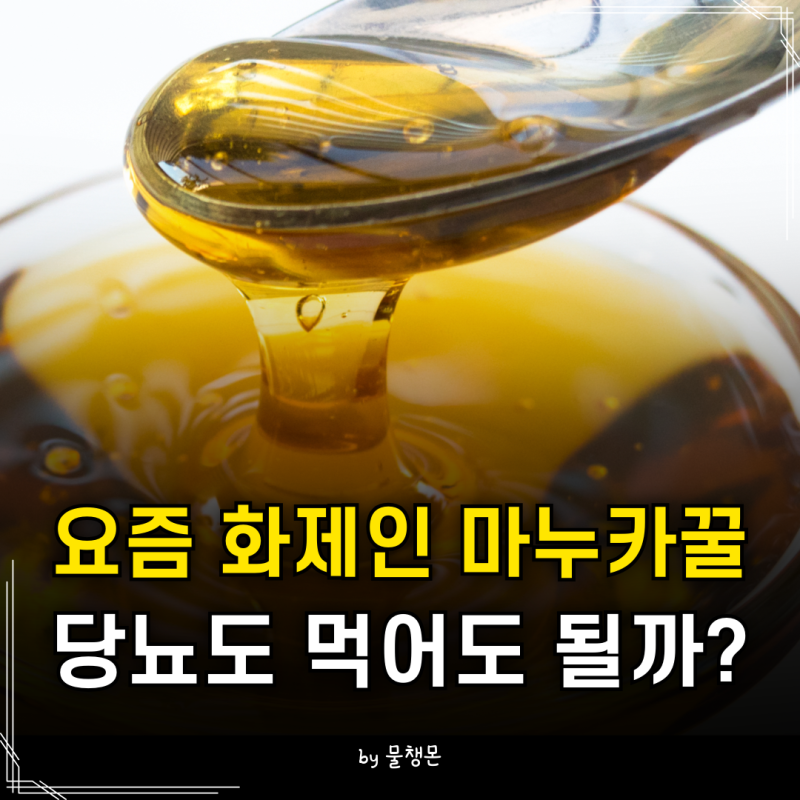 “설탕 대신 꿀이면 괜찮겠지?” 당뇨라면 마누카꿀도 양부터 보세요