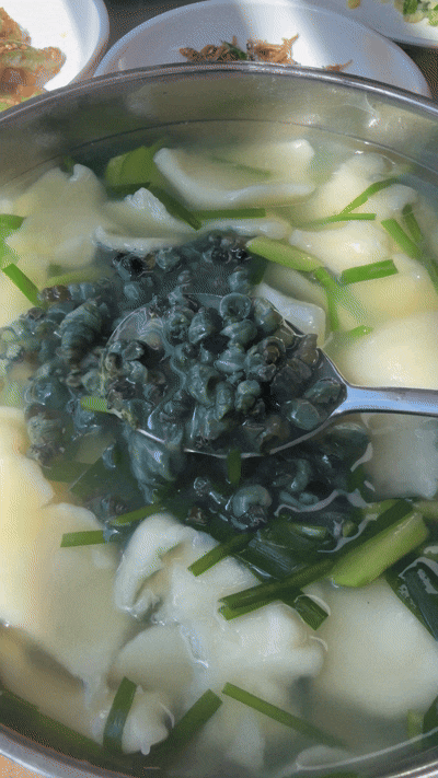 [임실 맛집] 천담집 | 임실 다슬기수제비 맛집 추천