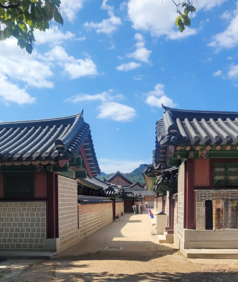경복궁 나들이시 관람 포인트