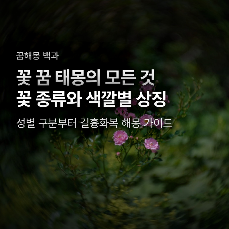 꽃 꿈 꿨다고 무조건 딸? 꽃 종류와 색깔이 밝히는 반전 태몽 해몽