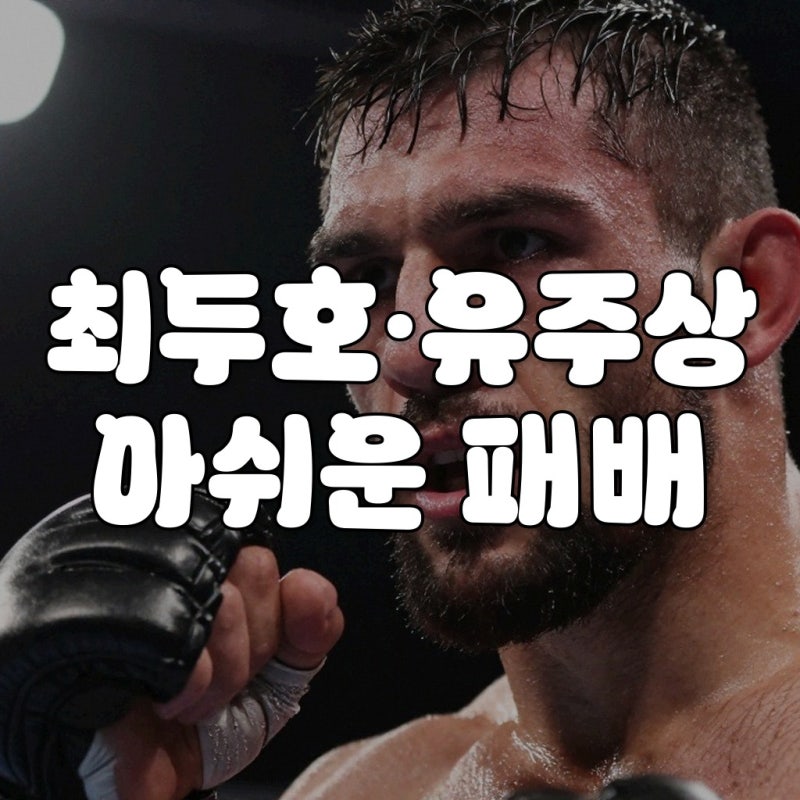 UFC 최두호 패배 소식과 UFC 330 경기 결과 정리
