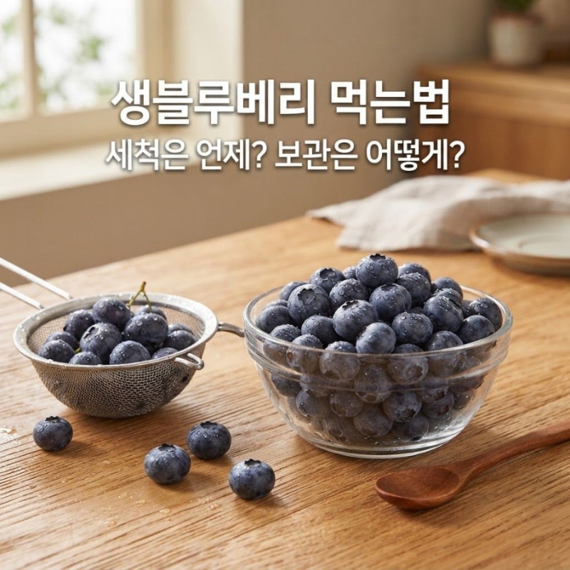 생블루베리 먹는법은? 세척법부터 보관방법까지