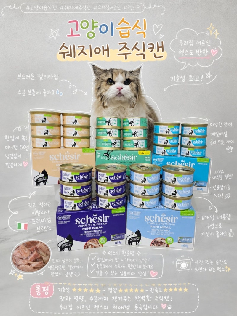 고양이습식캔 쉐지애 주식캔 5종 급여후기