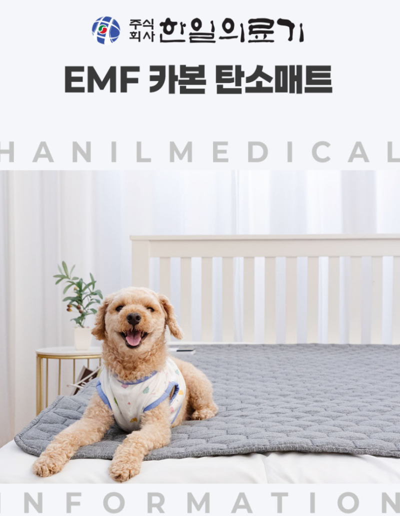 한일의료기 탄소매트 추천 정리, 겨울 되면 품절이라 초가을에 미리 사는 이유