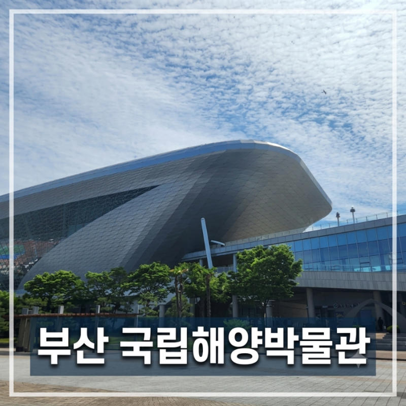 국립해양박물관 부산 아이와 가볼 만한 곳｜어린이박물관·피딩쇼 후기