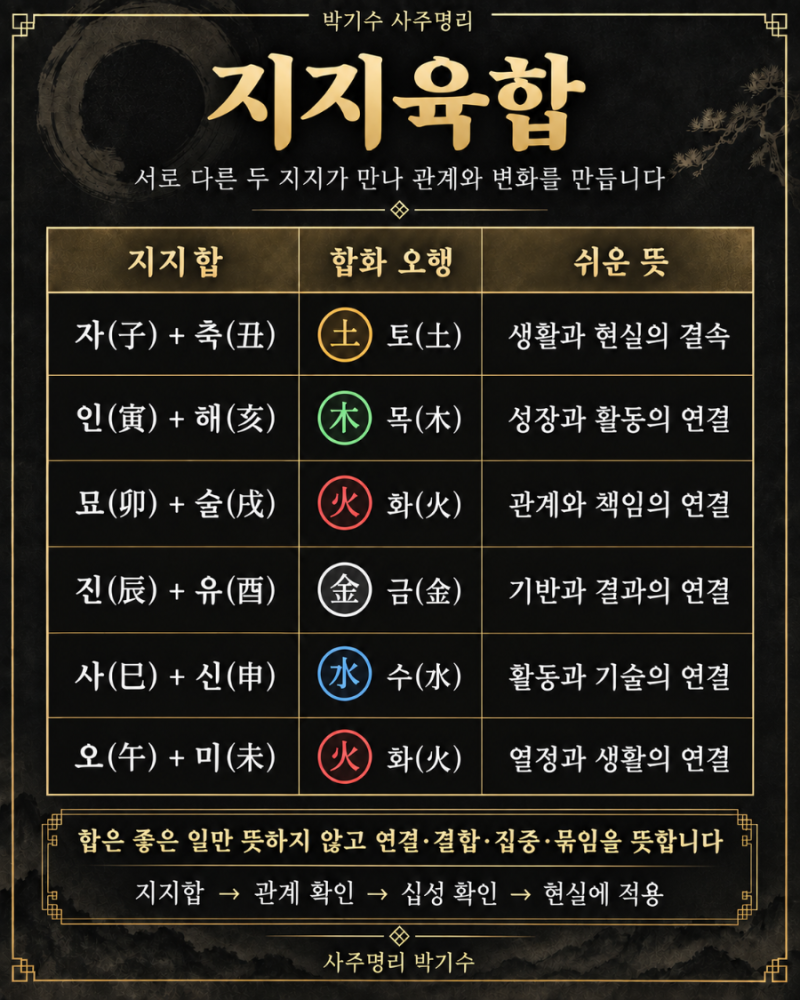 사주에서 지지육합이란? 관계가 만들어지고 삶이 달라지는 순간