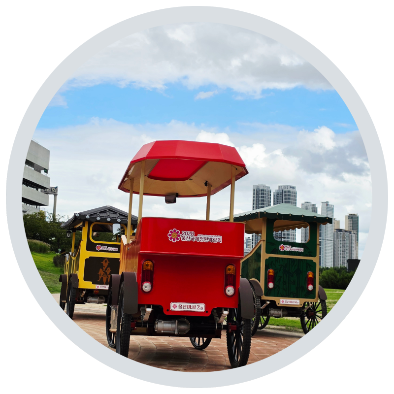 【蔚山太和江国家庭園/電動馬車】蔚山馬車の利用料金と乗車に役立つヒントを徹底解説
