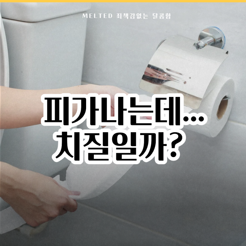치질 증상, 피가 나면 무조건 치질일까? 치핵·치열 차이와 관리법