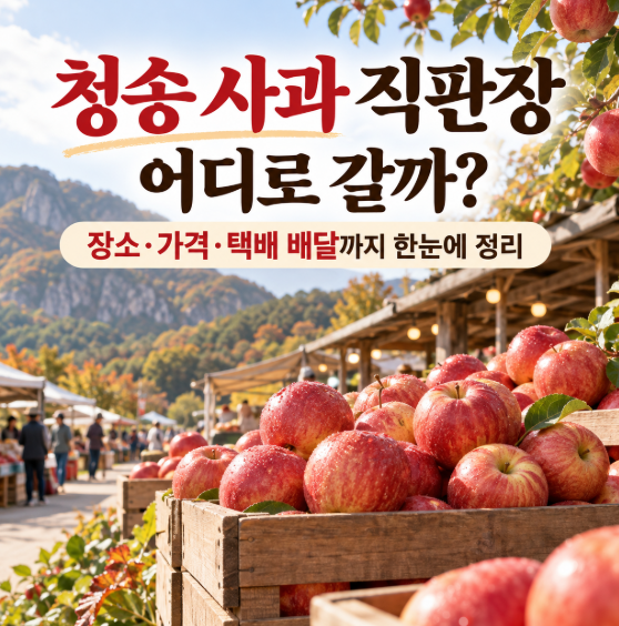 청송 사과 직판장 어디로 갈까? 장소·가격·택배 배달까지 한눈에 정리