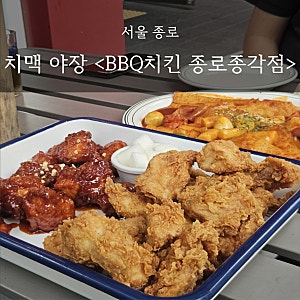 서울 종로 | 웨이팅·소음 없는 종로 치맥 야장 추천 <BBQ치킨 종로종각점> (ft. 청계천 산책코....