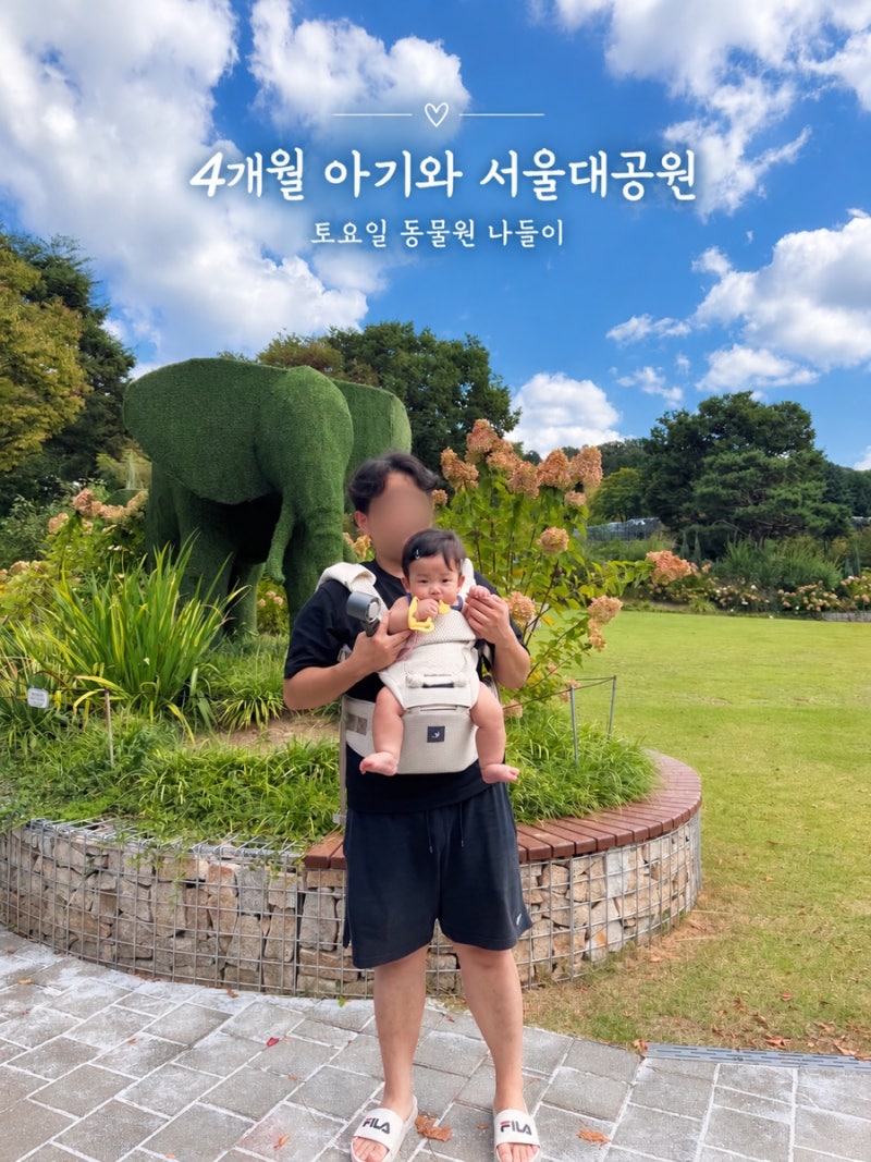 서울대공원 4개월 아기와 다녀온 후기｜주차·입장료·코끼리열차·유모차