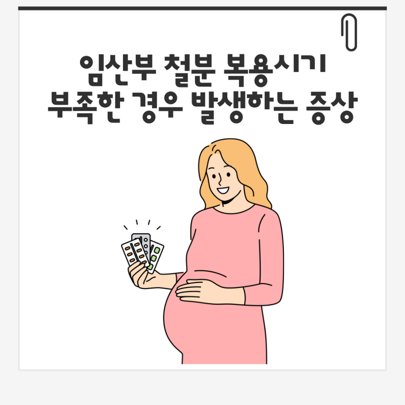 임산부 철분 복용시기와 부족한 경우 발생하는 증상