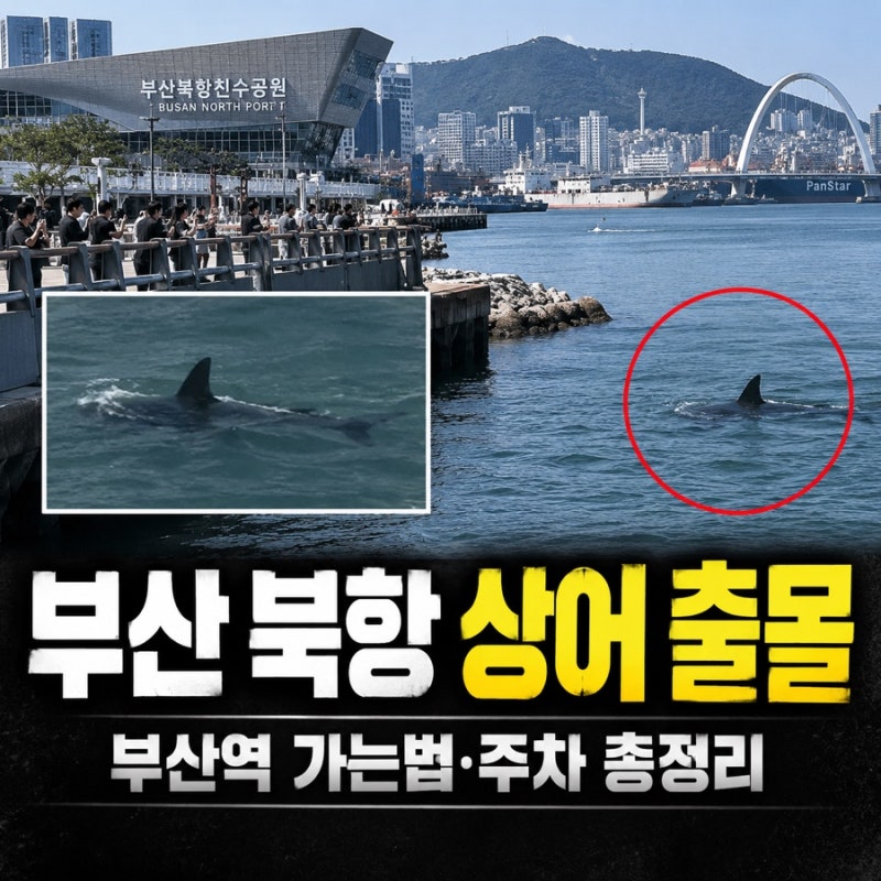 북항친수공원 가는법 주차 위치 총정리