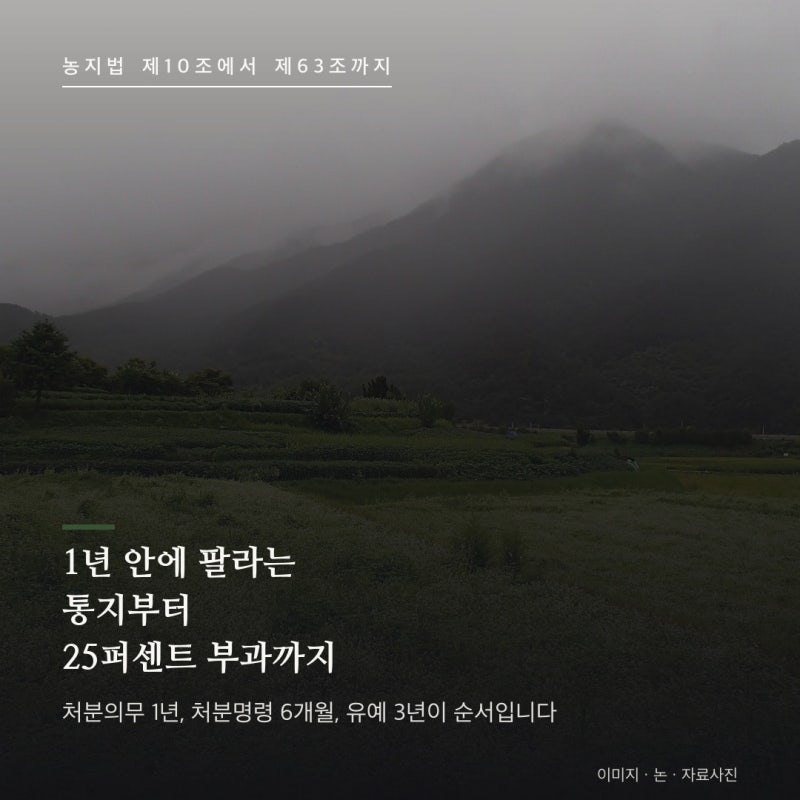 농지 처분의무 처분명령 이행강제금 총정리 : 1년 안에 팔라는 통지부터 땅값 25퍼센트 부과....