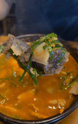 포항 효자동 맛집 효자시장 포항효자돼지국밥 포스텍 포항공대 근처 밥집 솔직 추천