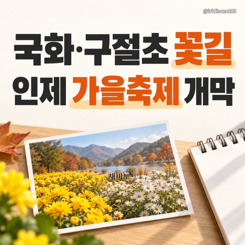 국화·구절초 만나는 2026 인제가을꽃축제 일정·장소·관람 팁