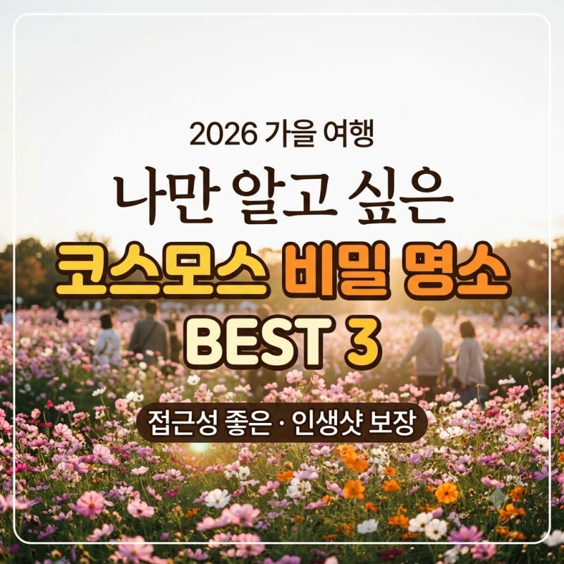 가을 코스모스 나만 알고 싶은 비밀 명소 | 차로 쉽게 가는 인생사진 출사지 TOP 3