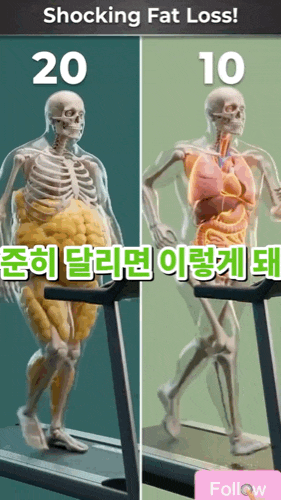 중년 남자 여자 뱃살 빼는 운동 슬로우러닝 효과 초보자 하는법!