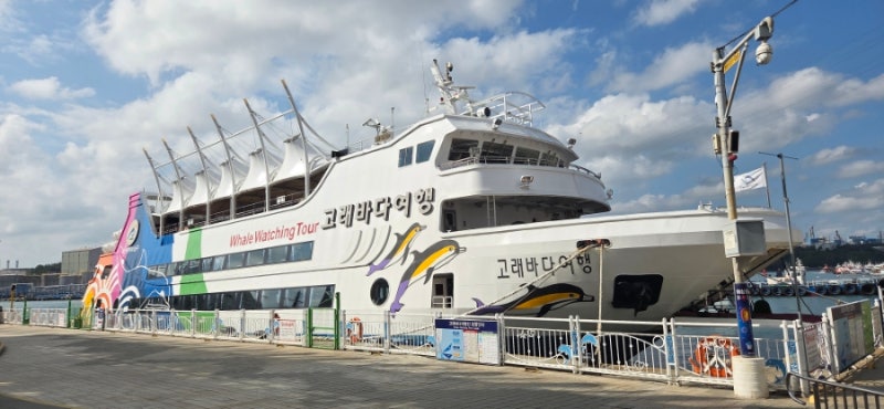 Jangsaengpo Whale Ocean Travel Ship Coastal Tour in Ulsan